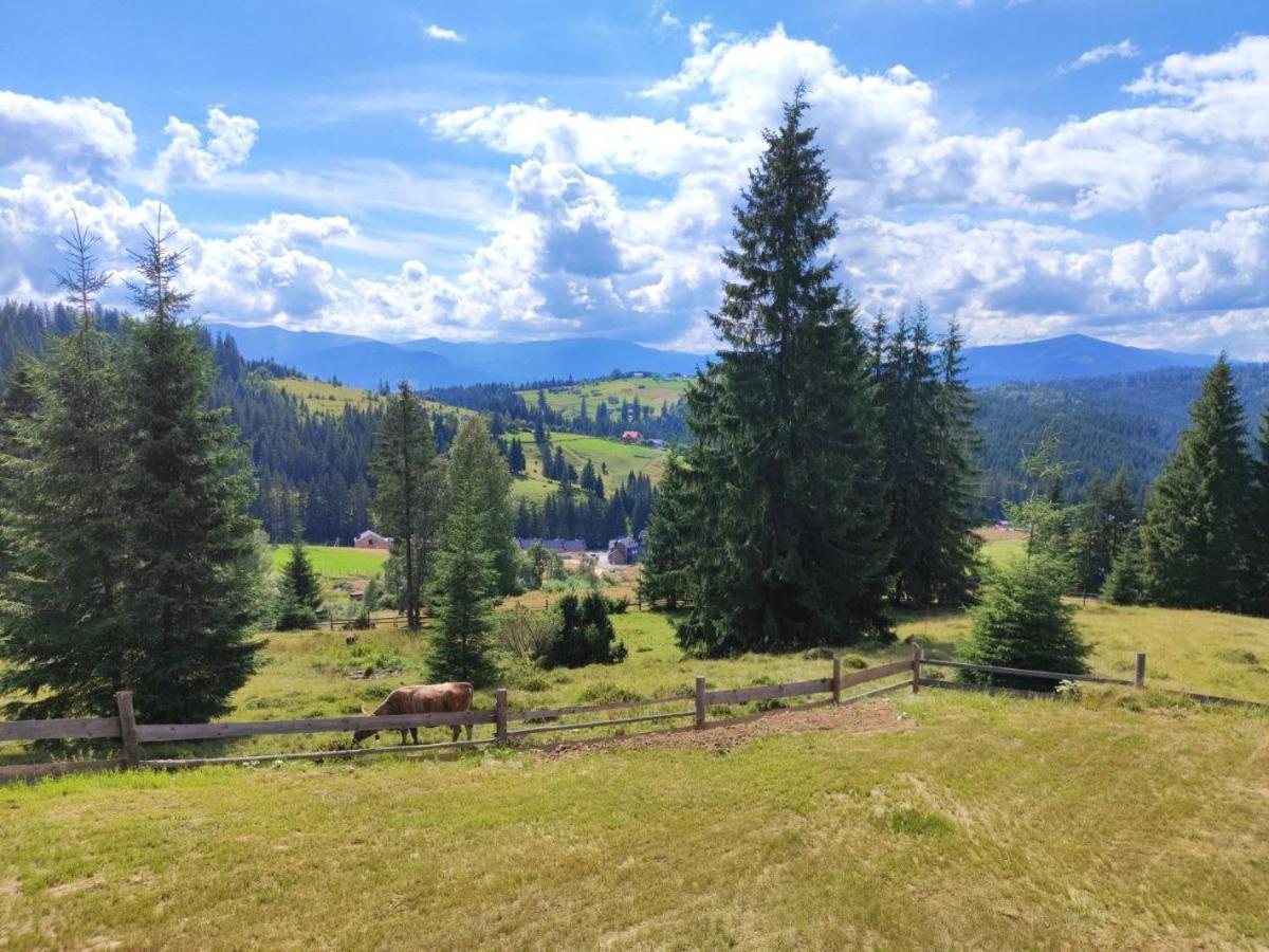 Lidia Chalets Paljanicja Kültér fotó
